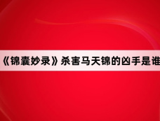 《锦囊妙录》杀害马天锦的凶手是谁