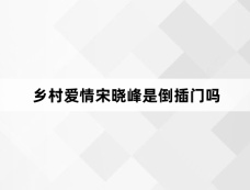 乡村爱情宋晓峰是倒插门吗