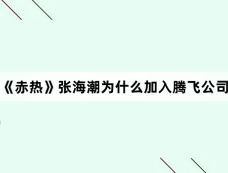 《赤热》张海潮为什么加入腾飞公司