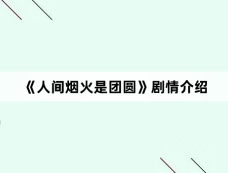 《人间烟火是团圆》剧情介绍