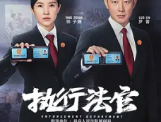 《执行法官》剧情百科（已完结）