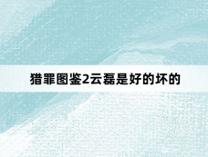 猎罪图鉴2云磊是好的坏的