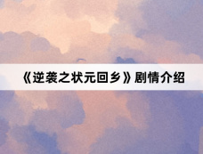 《逆袭之状元回乡》剧情介绍