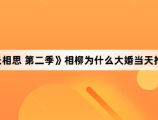 《长相思 第二季》相柳为什么大婚当天抢婚
