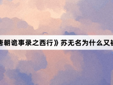 《唐朝诡事录之西行》苏无名为什么又被贬