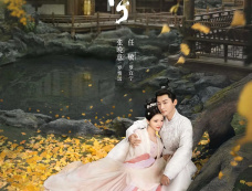 电视剧《锦绣安宁》播出平台