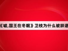 《嘘,国王在冬眠》卫枝为什么被辞退