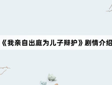 《我亲自出庭为儿子辩护》剧情介绍