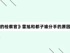 《九部的检察官》雷旭和都子瑜分手的原因是什么