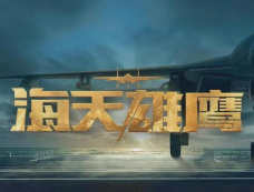 海天雄鹰舰载机着舰挂索应该是第几根