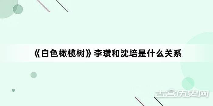 《白色橄榄树》李瓒和沈培是什么关系