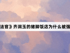 《执行法官》齐润玉的猪脚饭店为什么被强制执行