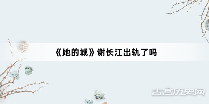 《她的城》谢长江出轨了吗