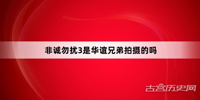 非诚勿扰3是华谊兄弟拍摄的吗