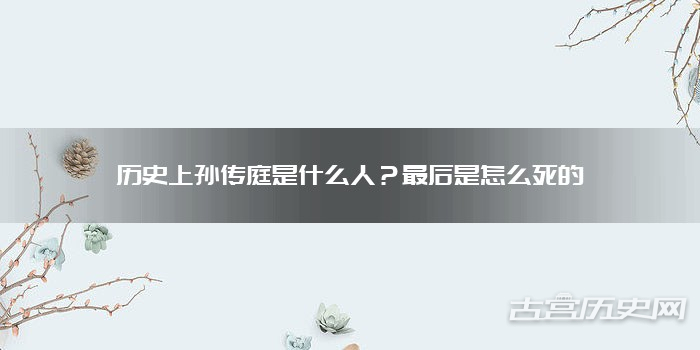 历史上孙传庭是什么人？最后是怎么死的