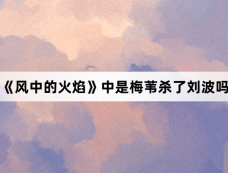 《风中的火焰》中是梅苇杀了刘波吗