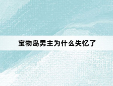 宝物岛男主为什么失忆了