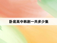 卧底高中韩剧一共多少集