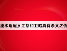 《流水迢迢》江慈和卫昭真有杀父之仇吗