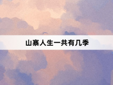 山寨人生一共有几季