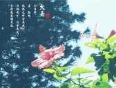 夏季的最后一个节气是什么