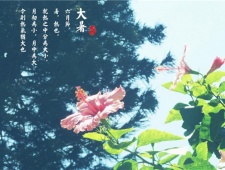 夏季的最后一个节气是什么