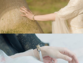 《苍兰诀》骨兰手镯简介