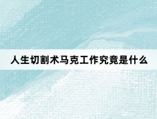 人生切割术马克工作究竟是什么