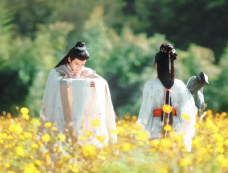 《度华年》春宴剧情介绍