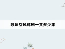 政坛旋风韩剧一共多少集