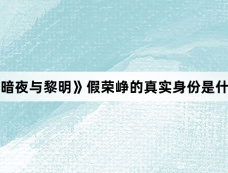 《暗夜与黎明》假荣峥的真实身份是什么