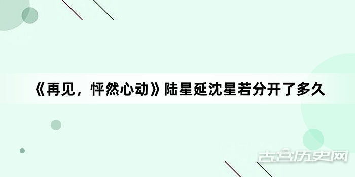 《再见，怦然心动》陆星延沈星若分开了多久