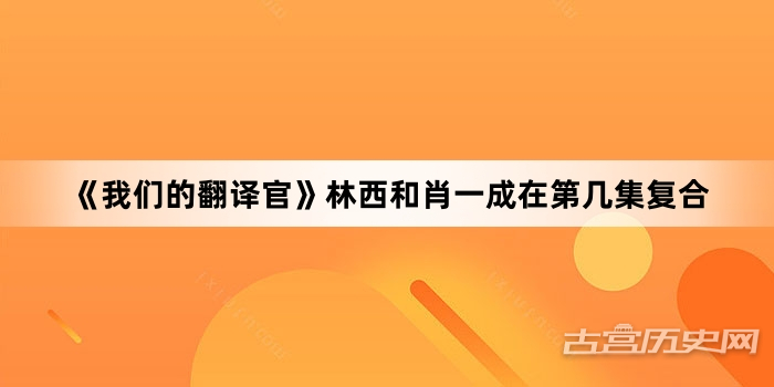《我们的翻译官》林西和肖一成在第几集复合