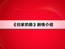 《归家的路》剧情介绍