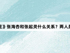 《藏海花》张海杏和张起灵什么关系？两人是同族吗