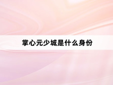 掌心元少城是什么身份