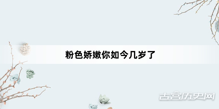 “粉色娇嫩你如今几岁了”网络梗词解释