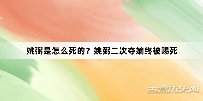 姚弼是怎么死的？姚弼二次夺嫡终被赐死