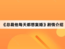 《总裁他每天都想复婚》剧情介绍