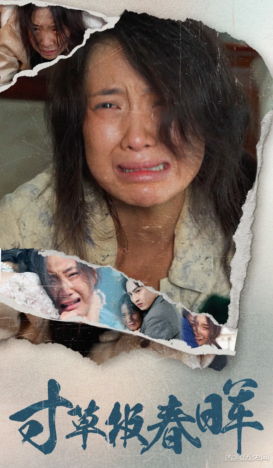 《寸草报春晖》剧情介绍