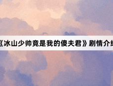《冰山少帅竟是我的傻夫君》剧情介绍