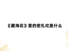 《藏海花》里的密扎坨是什么