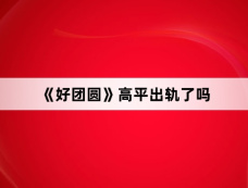 《好团圆》高平出轨了吗