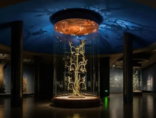 三星堆神树介绍