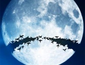 七夕鹊桥是什么鸟搭的