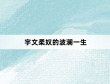 宇文柔奴的波澜一生