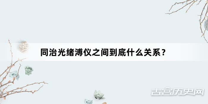 同治光绪溥仪之间到底什么关系？