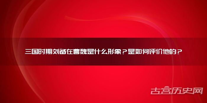 三国时期刘备在曹魏是什么形象？是如何评价他的？
