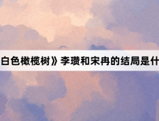 《白色橄榄树》李瓒和宋冉的结局是什么