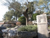 明十三陵为何会有一座太监陵墓